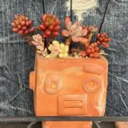 sanちぇの画像