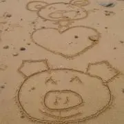 HONEY BEAR SHOPの画像