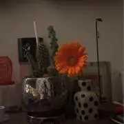 さ
