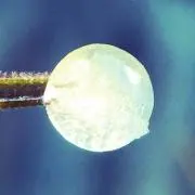 ササ（断捨離中）の画像