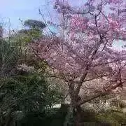 KT_購入前プロフ必読の画像