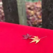 junの画像