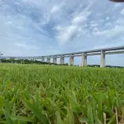 Ru Ruの画像