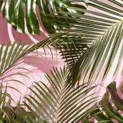 RK断捨離中
