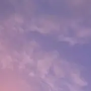 M＊プロフ必読＊