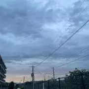 わかの画像