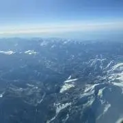 しんの画像
