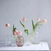 とまとの画像