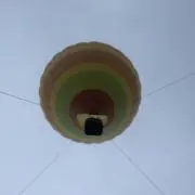 おすけの画像