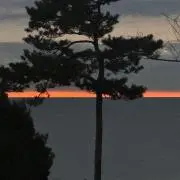 菊理