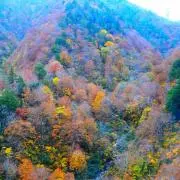 mintoofの画像