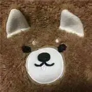 柴犬