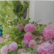 (◕ᴗ◕✿)とりあえずのいいね！不要ですの画像