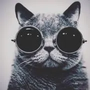 miao