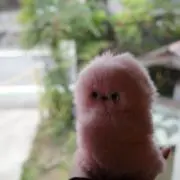 mumumuの画像