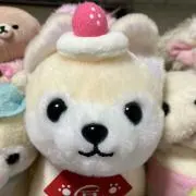 アポロの画像