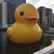 りゅうの画像