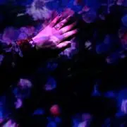 ryo7〈断捨離中〉の画像