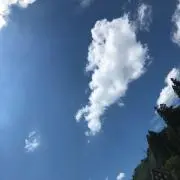 みー　値下げご相談ください^_^