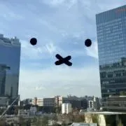 葵