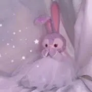 昆布ちゃんの画像