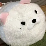 まりあん※自己紹介文ご確認お願いします！