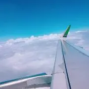 こここ　プロフ必読の画像