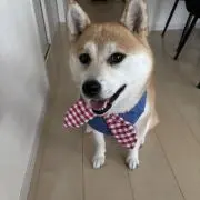 こつっち