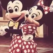けんぴの画像