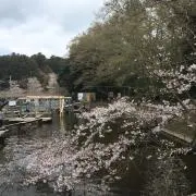 マイの画像