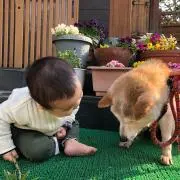 eko-ao★お値下げ可能です★の画像