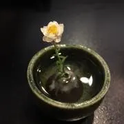 しのの画像