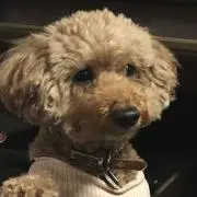 な。の画像
