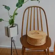 きょんたの画像