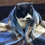 バクナン☆Loveの画像