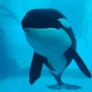 Miry28の画像