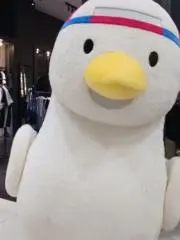 こっぴーの画像