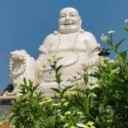 にこまるの画像