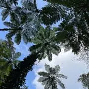 TamzTamzの画像
