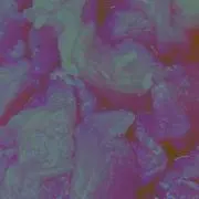 森