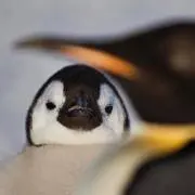 ミリミリの画像