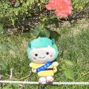 たかたんたんの画像