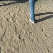 ユの画像