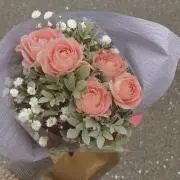 knpi ꪔ̤̮♡