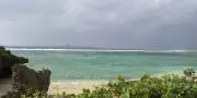 はるるんの画像