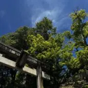 あさみんの画像