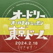 【即購入優先】LTの画像
