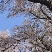 ともこの画像
