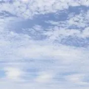 しょうちく