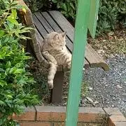 パン